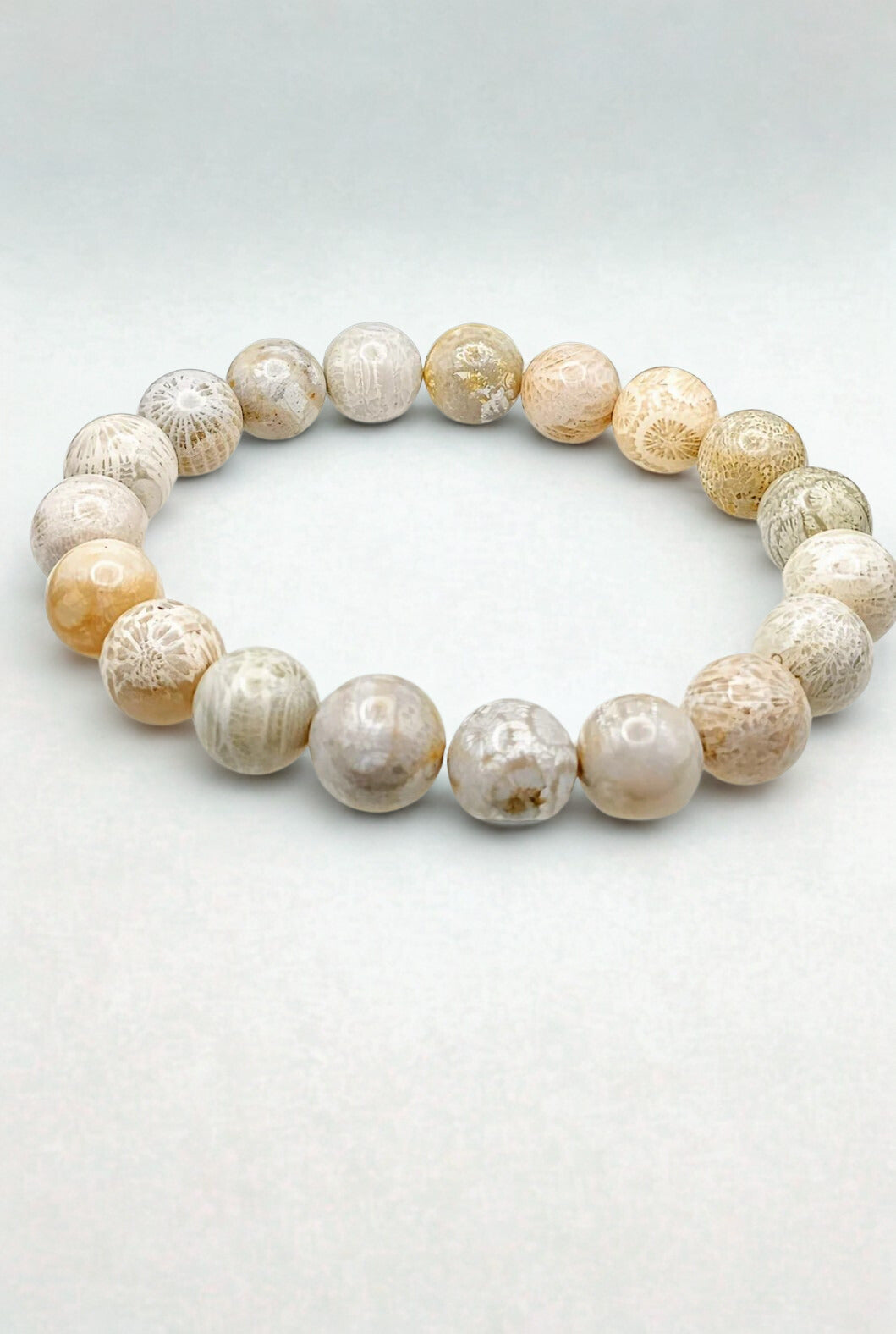 Fossil Coral 10mm